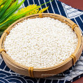round grain wholesale new product sticky white rice